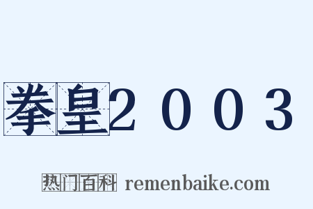 拳皇2003是什么意思的图片